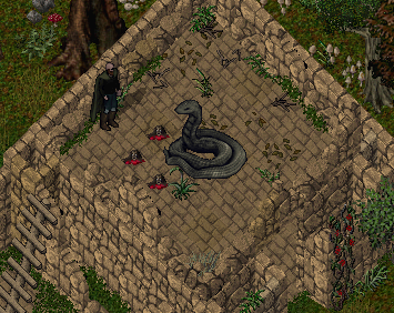 2020-12-09 09_49_13-Ultima Online - Thamion de Montagor (DNW Spielserver).png