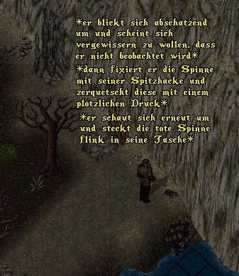 Knut tötet Spinne.jpg