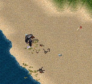 2021-02-28 08_55_08-Ultima Online - Thamion de Montagor (DNW Spielserver).png