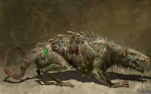 Warhammer_Skaven_Plague_Rat.jpg