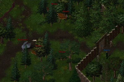 Harpyie.jpg (401.05 KiB) 7785 mal betrachtet Harpyie.jpg