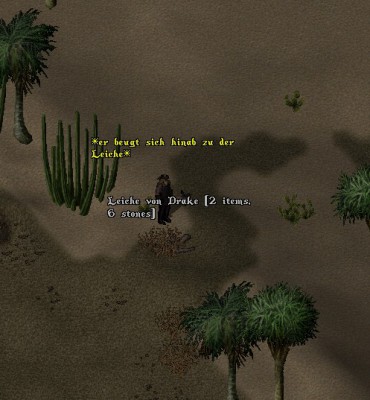 Screenshot_1 Leiche vor Toren Solgards.jpg