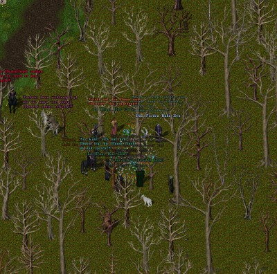 Druiden-RP3.jpg
