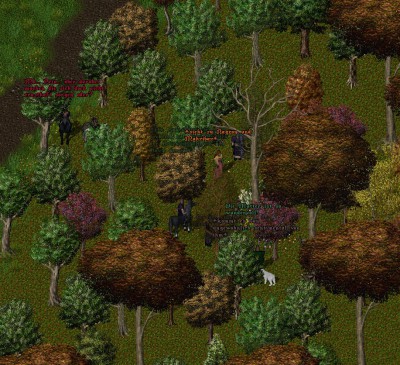 Druiden-RP5.jpg