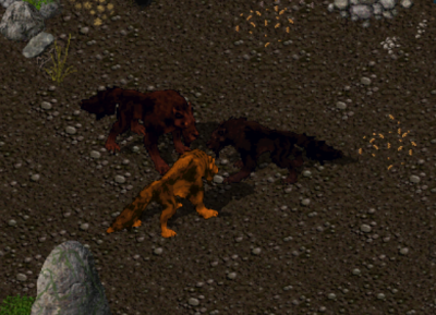 Wolfy.png