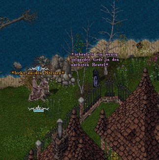 6-Solgard.jpg