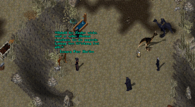 Bild21.png