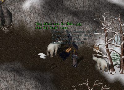 Bjornar und Yngvildr_Bannersschild_A.png
