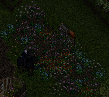 Screenshot 2025-08-01 001640.png