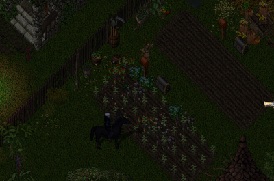 Screenshot 2025-08-01 001709.png