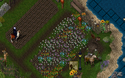 Screenshot 2025-08-09 161213.png