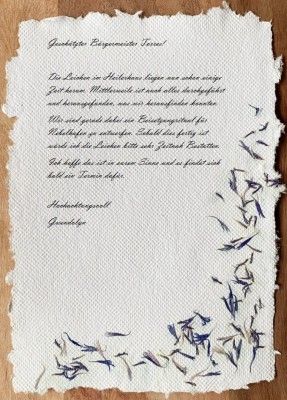 Brief an Bürgermeister Torres.jpg