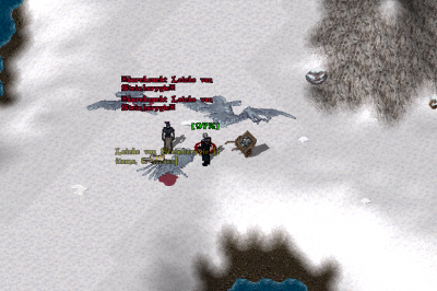 Screenshot 2025-09-27 171140.png