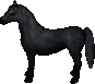 Rappe.png
