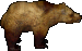 Grizzlybaer.png