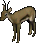 Gazelle.png