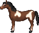 PintoPony.png