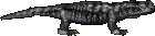 Lavaechse.png