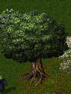 file:Fruchtbare Erde Pflanze.png