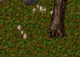 file:Molchaugen Quelle.png