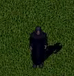 Staerke.gif
