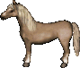 Palomino.png