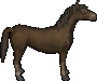 Pony.png