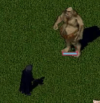 VerletzenAnim.gif