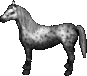 Apfelschimmel.png