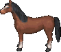 Braunfalbe.png