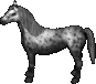 Apfelgrauschimmel.png