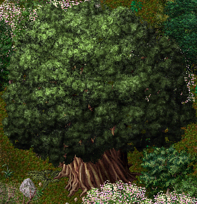 file:Yew.png
