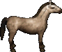 Pferd.png