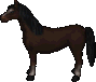 Dunkelbrauner.png