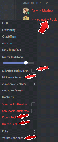Datei:Discord-moderation2.gif