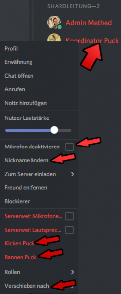 Datei:Discord moderation.png