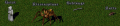 Nekromant Polymorph Formen.png