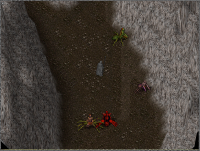 Terathaner.png