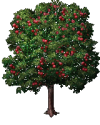Apfelbaum.png