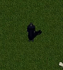 Gestaltwandel.png