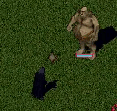 Nachahmer2.png