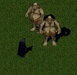Wahnsinn.png