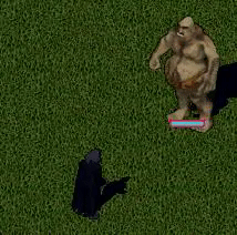 Schaedel.png
