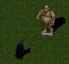Voodoo.png